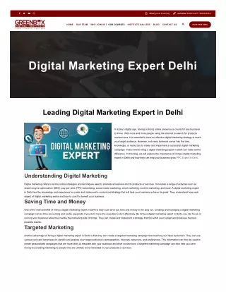 Digital marketing Expert In Delhi