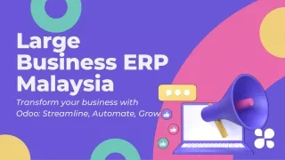 Large Business ERP Malaysia