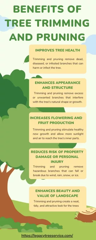 Benefits of Tree Trimming and Pruning