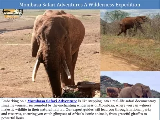Mombasa Safari Adventures- A Wilderness Expedition