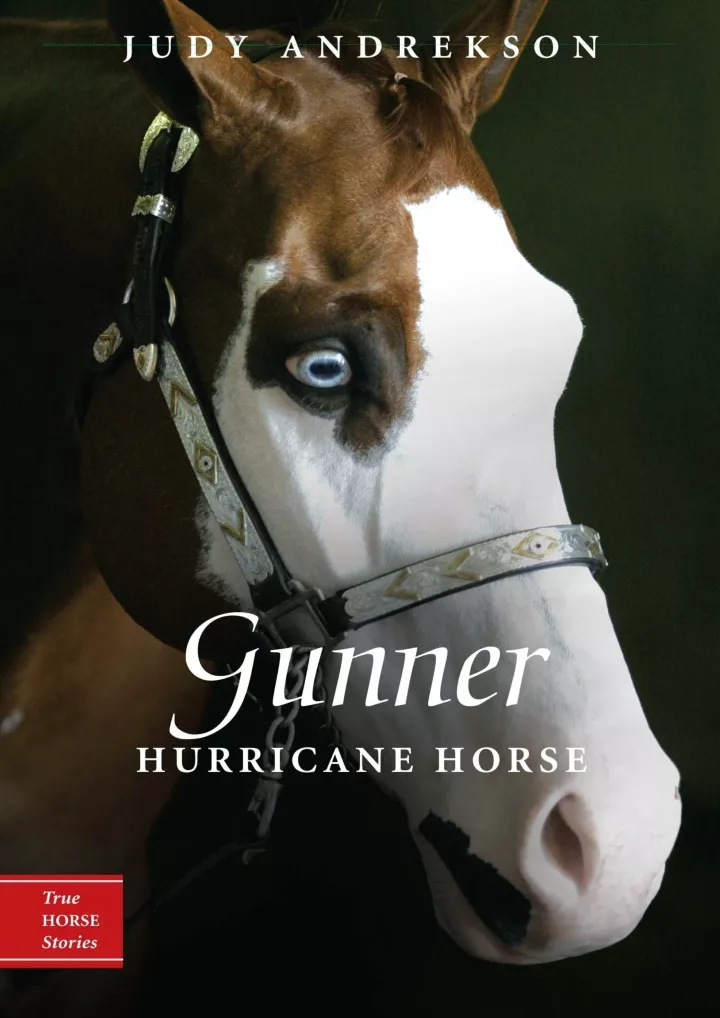 read ebook pdf gunner hurricane horse true horse