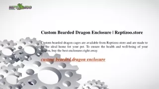 Custom Bearded Dragon Enclosure  Reptizoo.store