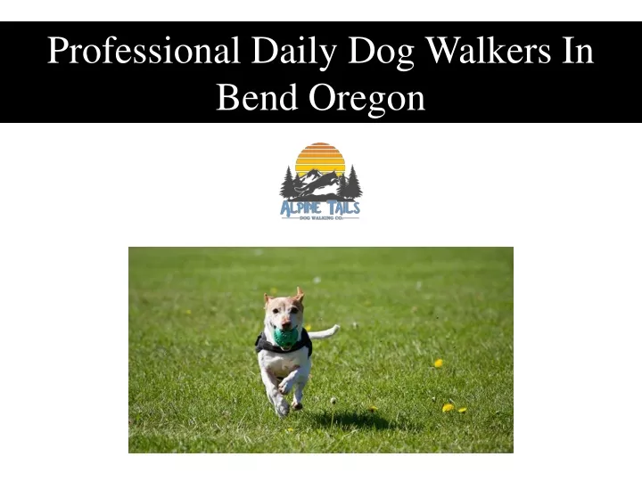 professional daily dog walkers in bend oregon