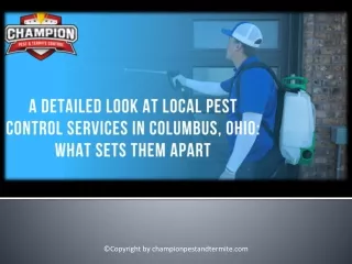 A Detailed Look at Local Pest Control Services in Columbus, Ohio What Sets Them Apart