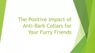 Article 2 -The Positive Impact of Anti-Bark Collars for Your Furry Friends