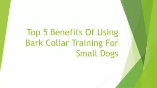 Article 3 - Top 5 Benefits Of Using  Bark Collar Training For Small Dogs