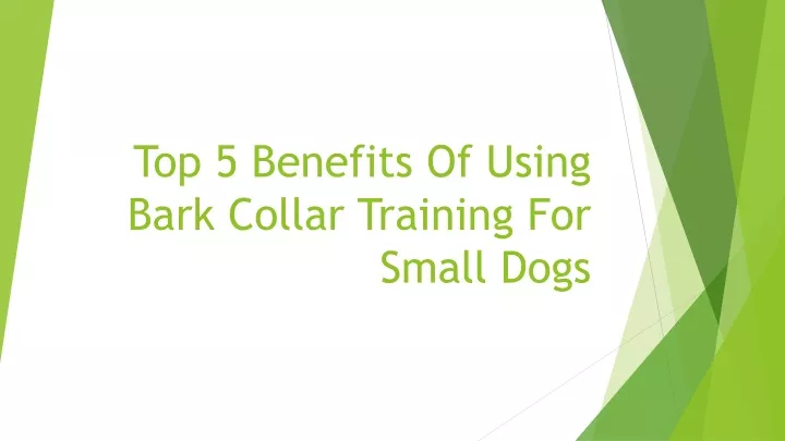 top 5 benefits of using bark collar training for