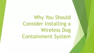 Article 5 - Why You Should Consider Installing a Wireless Dog Containment System