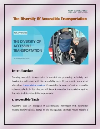 The Diversity of Accessible Transportation