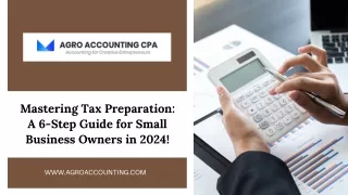 Mastering Tax Preparation A 6-Step Guide for Small Business Owners in 2024!