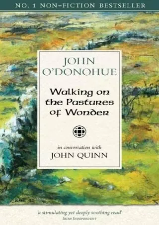 [PDF READ ONLINE] Walking on the Pastures of Wonder: in conversation with John Quinn