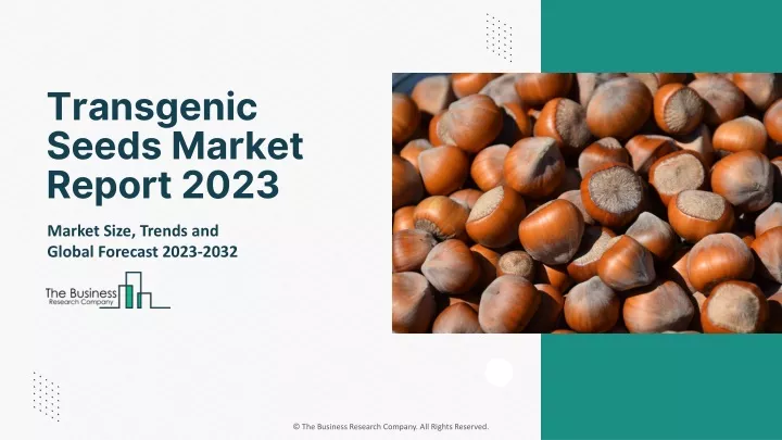 transgenic seeds market report 2023