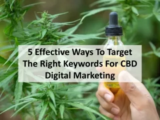 5 Effective Ways To Target The Right Keywords For CBD Digital Marketing