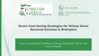 Smart Cost Savings Strategies for Winter Snow Removal Services in Brampton