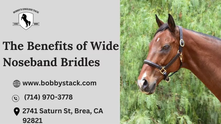 the benefits of wide noseband bridles