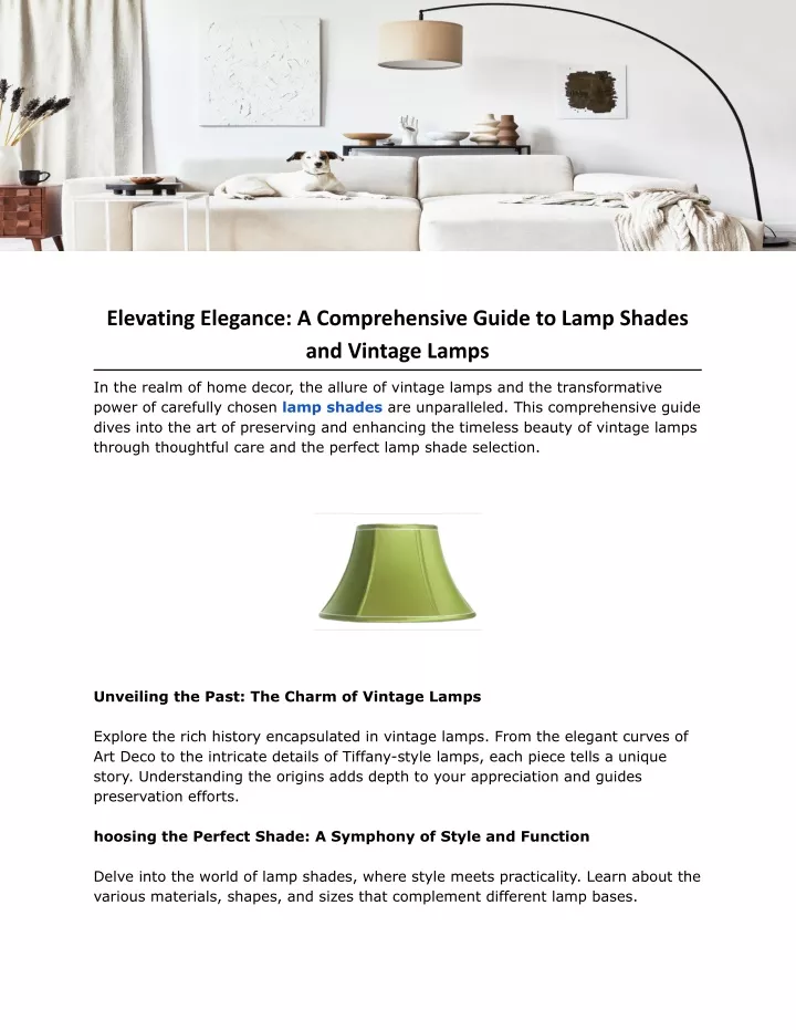 elevating elegance a comprehensive guide to lamp