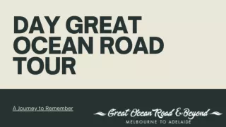Day great ocean road tour