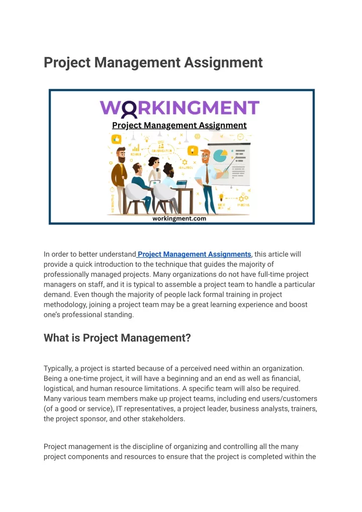 project management assignment
