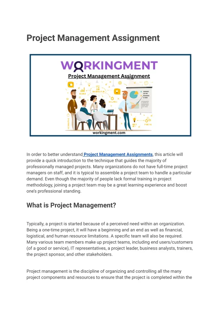 what is a assignment in project management