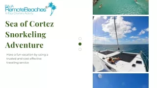 Enjoy the Sea of Cortez snorkeling adventure in La Paz and Cabo San Lucas