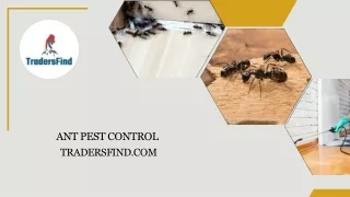 ant pest control t r a d e r s f i n d c o m