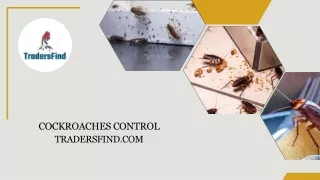 Effective Cockroach Pest Control in UAE | TradersFind