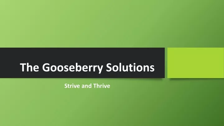 the gooseberry solutions