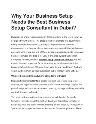 Why Your Business Setup Needs The Best Business Setup Consultant in Dubai?