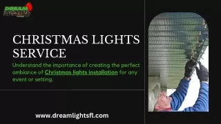 Professional Christmas Light Installation Services - dreamlightsfl