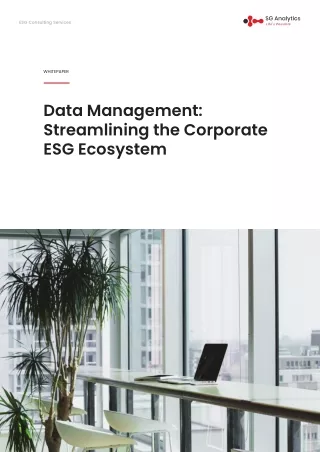 esg consulting services