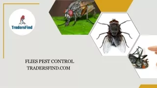 Flies Pest Control Services in UAE - TradersFind