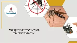 Mosquito Pest Control companies in UAE - TradersFind