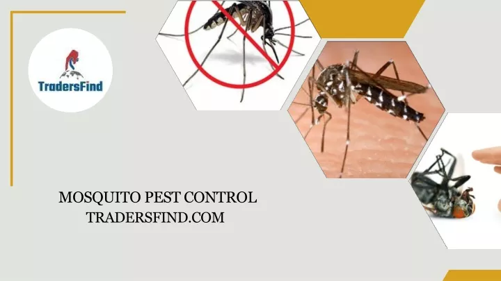 mosquito pest control tradersfind com