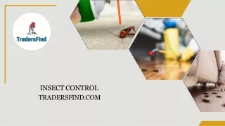 Insect Control Services & Companies in UAE - TradersFind