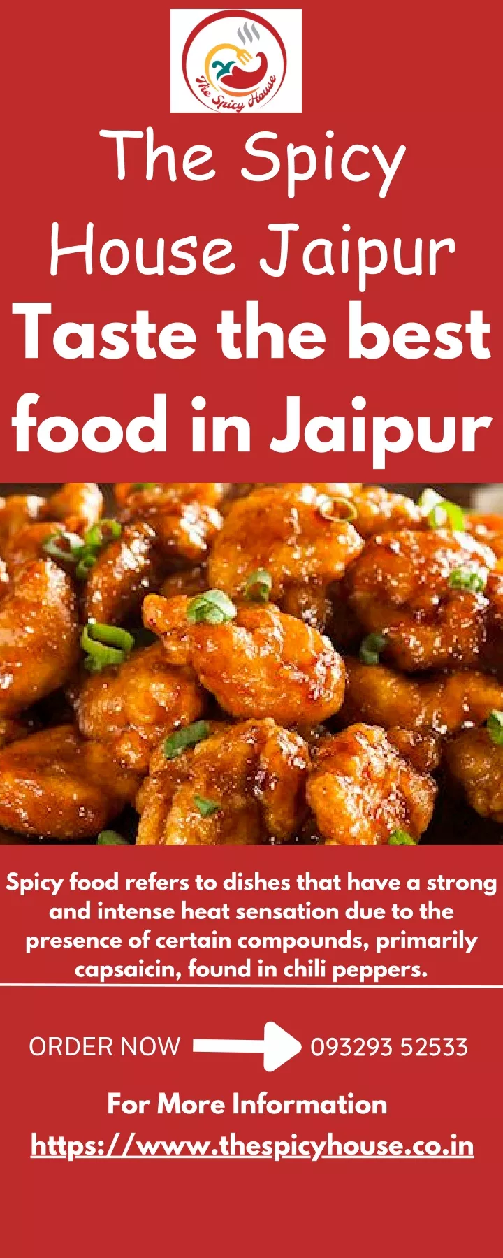 the spicy house jaipur taste the best food