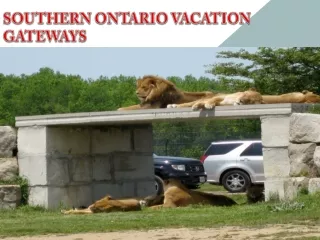 Southern Ontario Vacation gateways