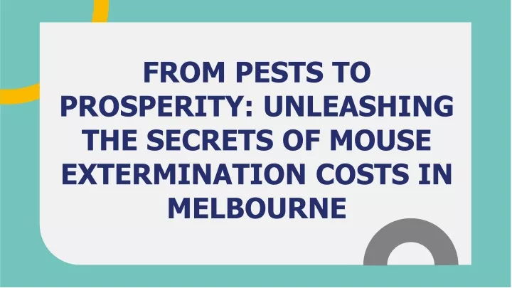from pests to prosperity unleashing the secrets of mouse extermination costs in melbourne