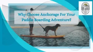 Why Choose Anchorage For Your Paddle Boarding Adventure
