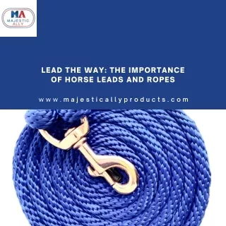 Lead the Way The Importance of Horse Leads and Ropes