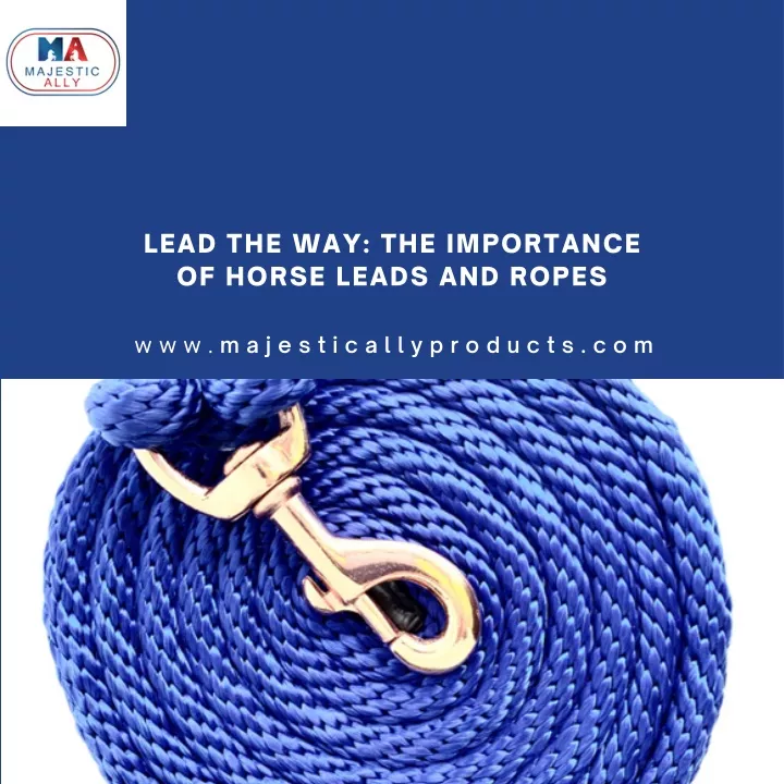 lead the way the importance of horse leads