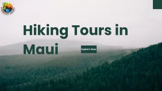 Unleash the Adventure: Hiking Tours in Maui | Stardust Hawaii