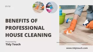 The Benefits of Professional House Cleaning