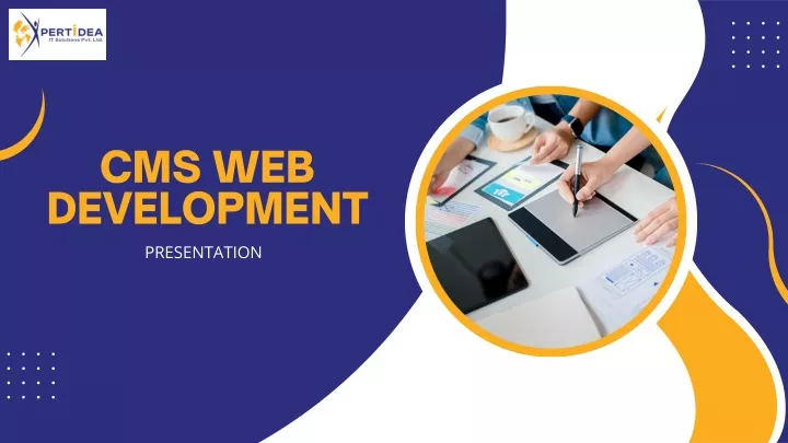 cms web development