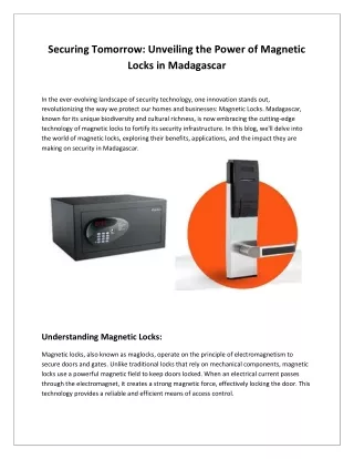 Securing Tomorrow Unveiling the Power of Magnetic Locks in Madagascar