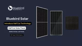 535W- 550W Bluebird Mono Perc Half Cut Solar Panel