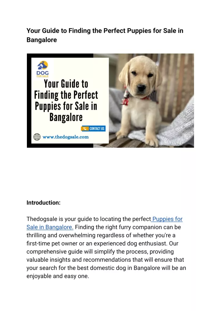 your guide to finding the perfect puppies
