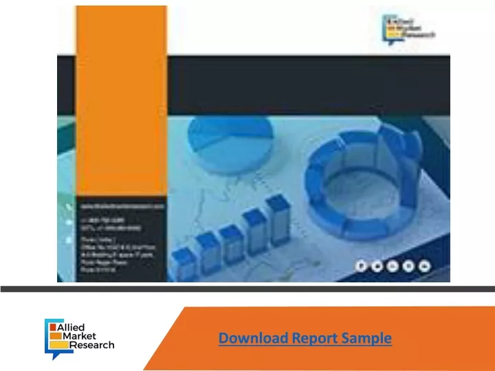 download report sample