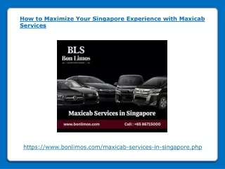 how to maximize your singapore experience with