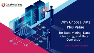Why Choose Data Plus Value for Data Mining, Data Cleansing, and Data Conversion?
