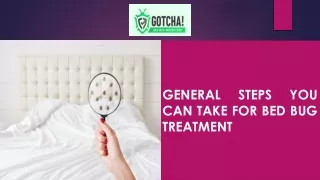 General Steps You Can Take for Bed Bug Treatment